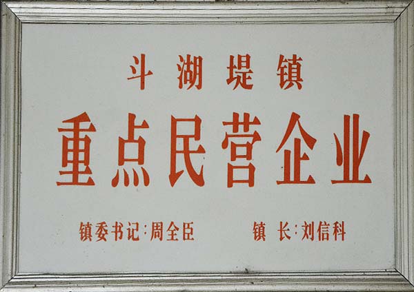 重点民营企业